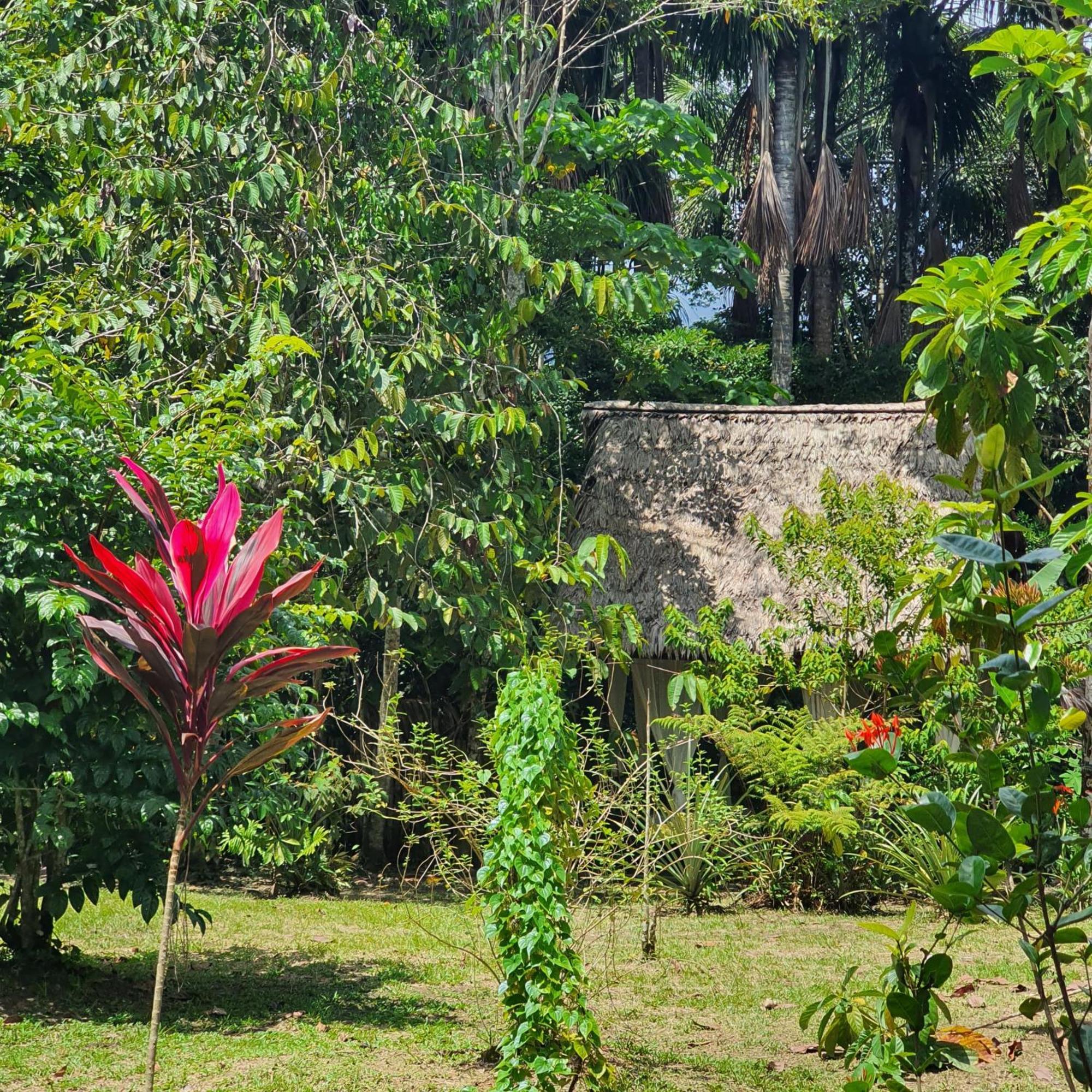 Amazona Lodge ليتيسيا المظهر الخارجي الصورة