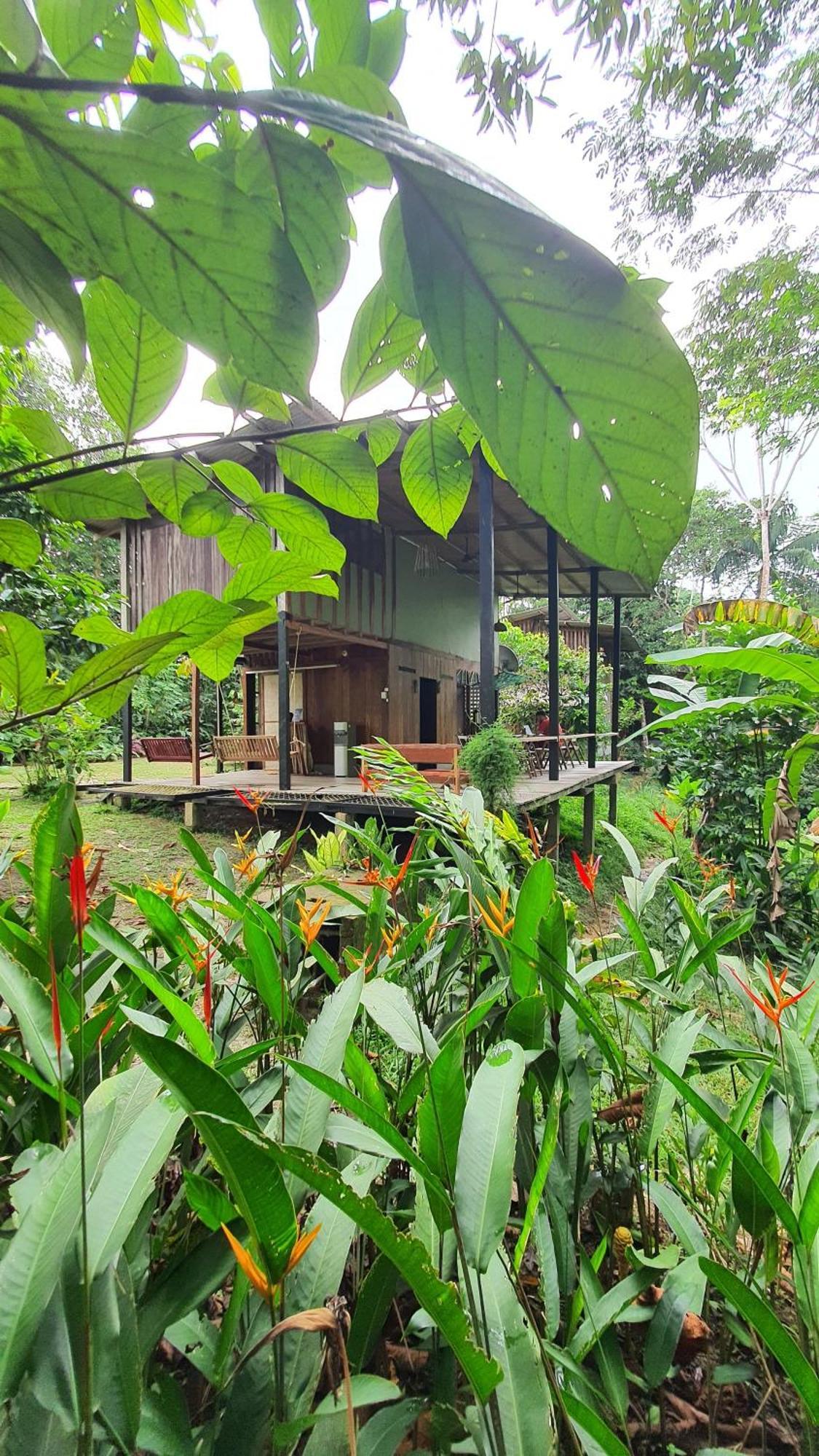 Amazona Lodge ليتيسيا المظهر الخارجي الصورة