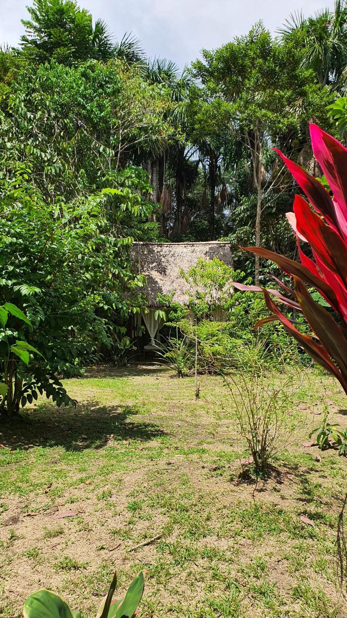 Amazona Lodge ليتيسيا المظهر الخارجي الصورة